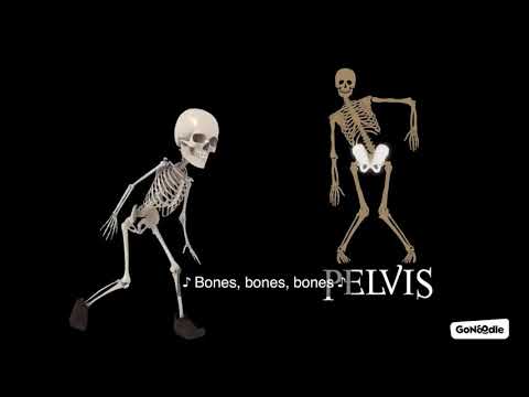 Bones! Bones! Bones!