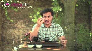 Gong Fu Tea Brewing (Tea Ceremony Style)