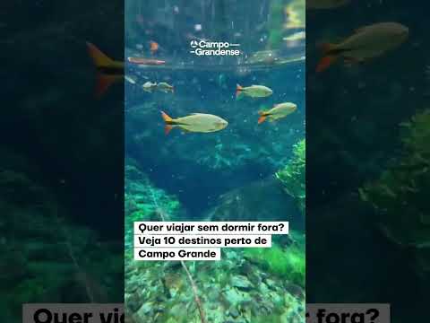 Quer viajar sem dormir fora? Veja 10 destinos pertinho de Campo Grande MS