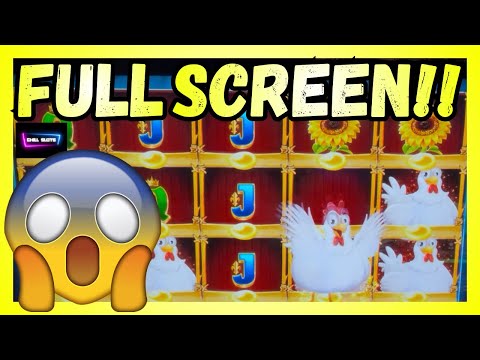 UNMISSABLE ROOSTER ACTION!! 🐓🦊 MENTAL FOBT SLOT SESSION, HUGE GAMBLES & BIG WINS with Chill Slots 🎰 