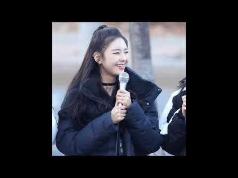 Ranking Big 3 entertainment girl groups in different categories -Kpop Nini