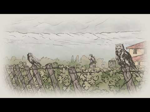 The Owl and the Dust Devil - Finca DECERO