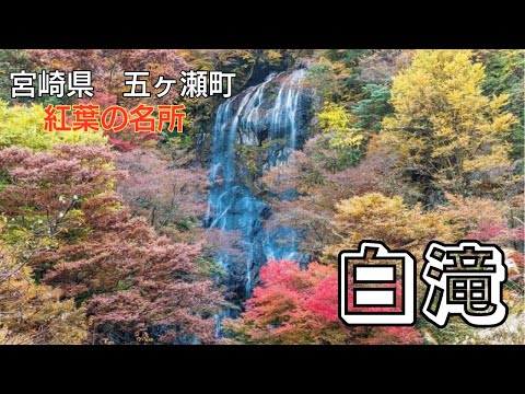 【宮崎県五ヶ瀬町】紅葉の名所！白滝