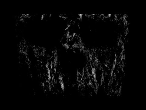 The Most Horrifying Trip Reports of 2025