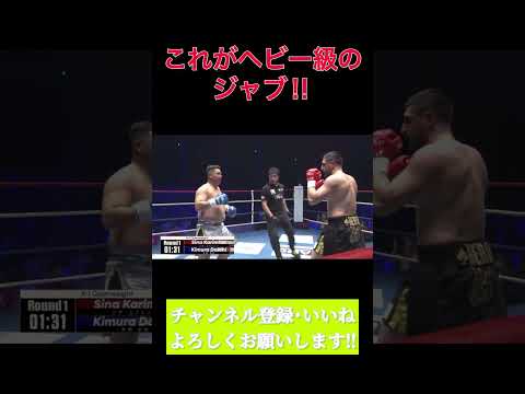 これがジャブ？？【木村太地VSｼﾅｶﾘﾐｱﾝ】