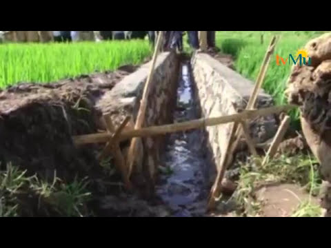 NEWS FEBRUARY 2, 2016