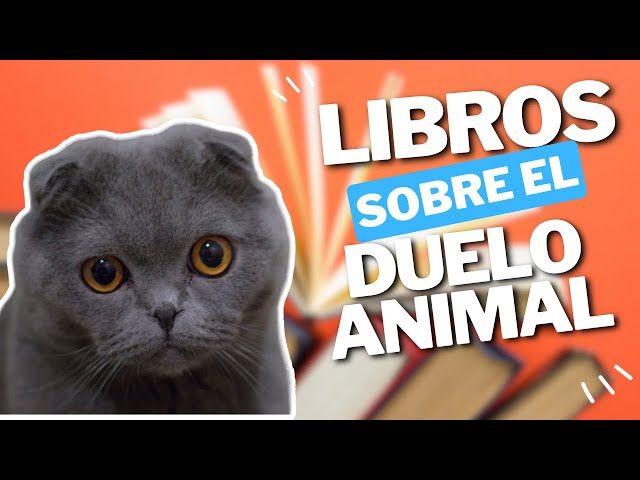 Vídeo relacionado con Conmigo siempre: Una visión sin prejuicios sobre la muerte de tu compañero animal