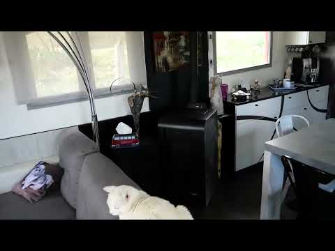 Luxemotor Dutch  Barge Live aboard - Boatshed - Boat Ref#321661