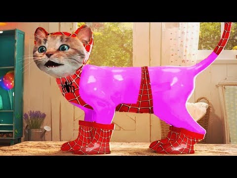 Gatos Preescolar Aventuras - Educación De Animación Dibujos Animados | Juegos Infantiles