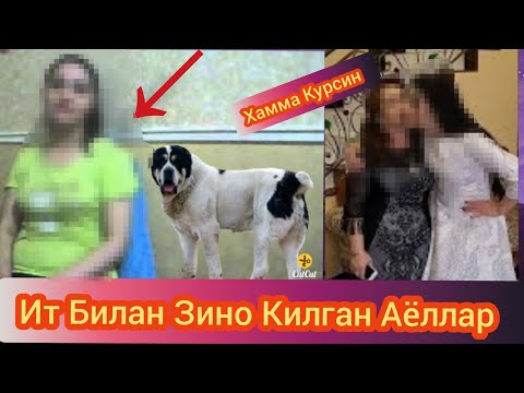 Хамма Курсин!! Ит Билан Зино Килган Аёл
