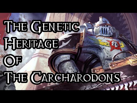The Genetic Heritage Of The Carcharodons - 40K Theories