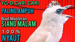 Download lagu Suara Trucukan YG D CARI CARI ‼️ PALING AMPUH BUAT MASTERAN SIANG MALAM SEKALI DENGAR SEMUA NYAUT ‼️ mp3 Download lagu Suara Trucukan YG D CARI CARI ‼️ PALING AMPUH BUAT MASTERAN SIANG MALAM SEKALI DENGAR SEMUA NYAUT ‼️ mp3