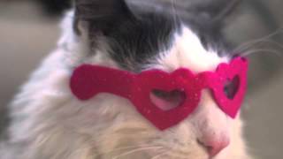 Meditation- Loving Kindness