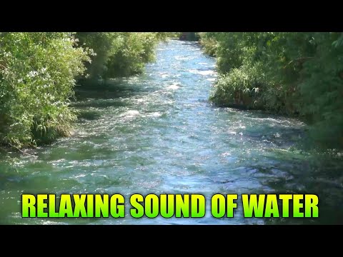 15 MINUTES OF FLOWING RIVER WATER and Nature Sounds - Mindfulness Meditation - 3