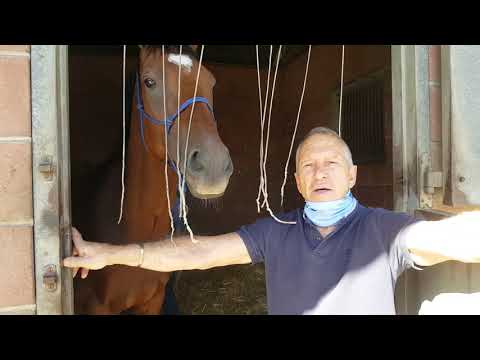 LATEST NEWS ON RAINBOW BRIDGE