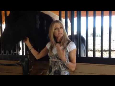 Promotional video thumbnail 4 for Carol Whitaker, LLC