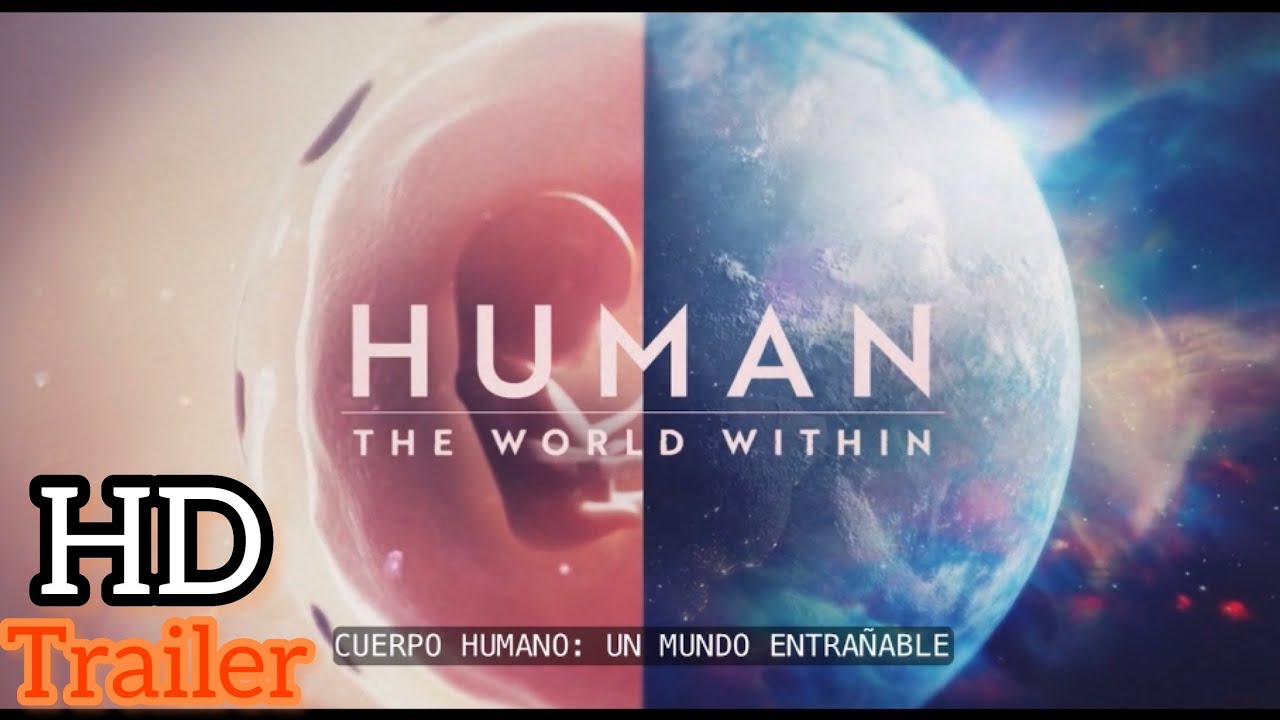 ¿No sabés qué ver en Netflix? Estas 5 series son tendencia entre los usuarios