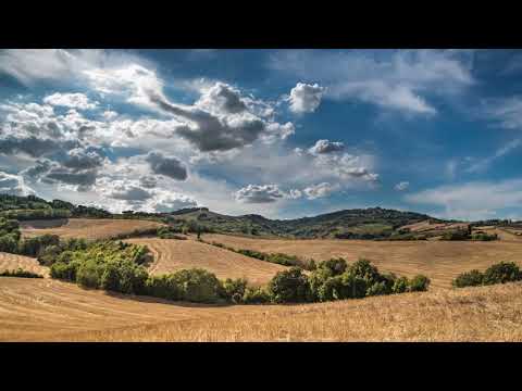 Nat Keefe with The Bow Ties - Terrier Waltz