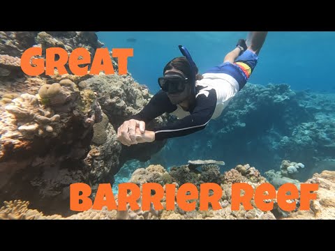 Sailing and Diving Queensland's Great Barrier Reef