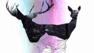 Visions of Trees - No Flag