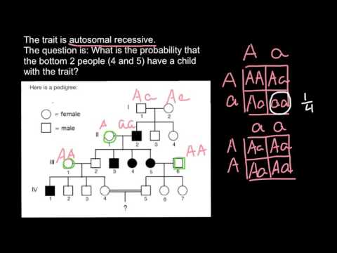 image-What is a pedigree problem?
