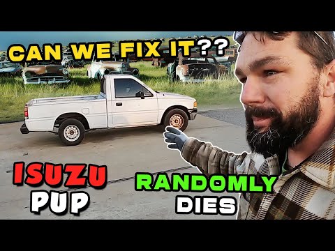 It wont stay running... Can we fix it? 1991 Isuzu Pup.