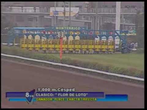 MI EVITA -- CLÁSICO FLOR DE LOTO 2013 -- 1000 m TURF