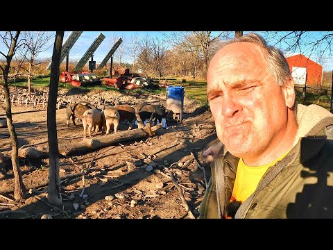 An Argument for Simplicity