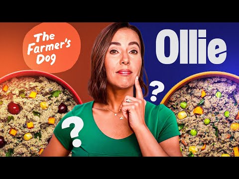 Ollie vs The Farmer’s Dog: Which Fresh Dog Food Is Best?