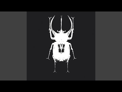 These Words (feat. Sarah Espour, Bernardo Sommani)