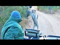 Surprise Leopard Hunt in Front of Safari Vehicle ...