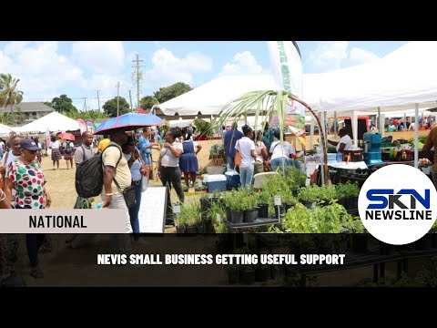 NEVIS SMALL BUSINESS GETTING USEFUL SUPPORT