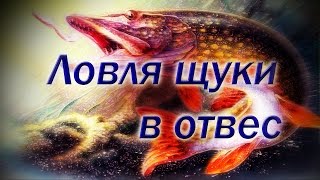Ловля щуки в отвес зимой на живца