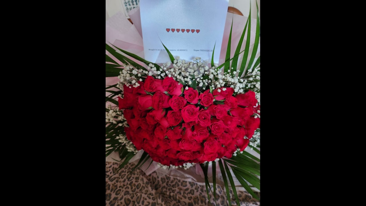 dream song, roses, song passacaqlia handel halvorsen, version 2, 30min play