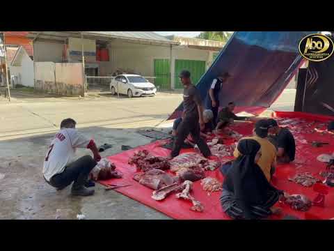 ABA TOUR QURBAN 1447 H