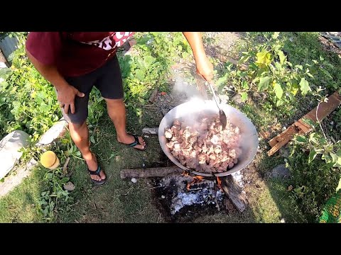 PICNIC SA ILOG (Palago)