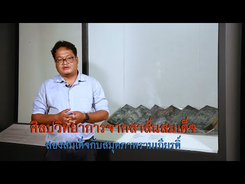 ภาพประกอบ วีดิทัศน์