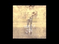 Vance Joy- Play With Fire) With Lyrics 