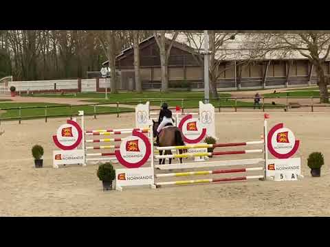 Guggenheim Bois Margot (Montender x Qlassic Bois Margot)