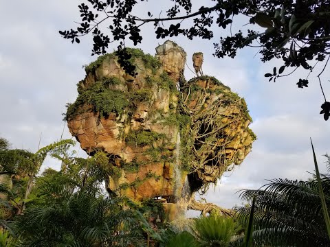 Flight of Passage 2022. The best video ever made of this ride!!