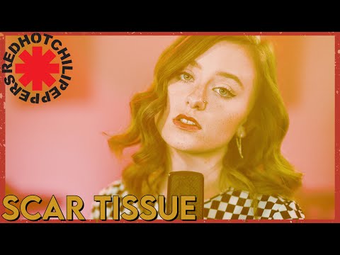 "Scar Tissue" - Red Hot Chili Peppers (Cover by First to Eleven)