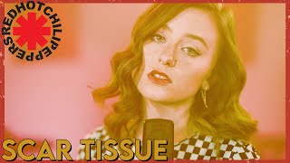 &quot;Scar Tissue&quot; - Red Hot Chili Peppers (Cover by First to Eleven)