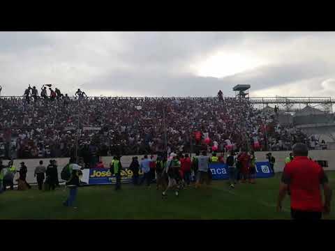 "Dale campeón, porque es un sentimiento es un color" Barra: Muerte Blanca • Club: LDU