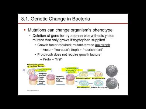 Chapter 8 part 1 microbiology nester sandburg