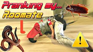 PRANKED MY ROOMATE W/ NASTY BUGS !!! - Flamingeos