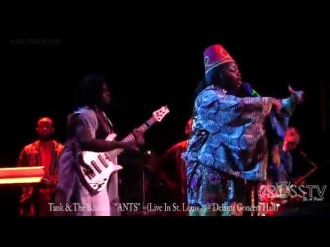 James Ross @ Tank & The Bangas - "ANTS" - www.Jross-tv.com (St. Louis)