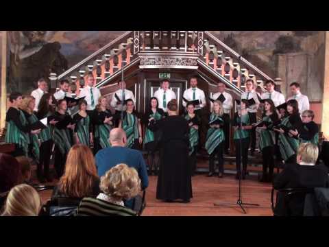 SOZVOČENJA 2016 – Brežice, MEŠANI PEVSKI ZBOR BISTRICA OB SOTLI, KAPLJA