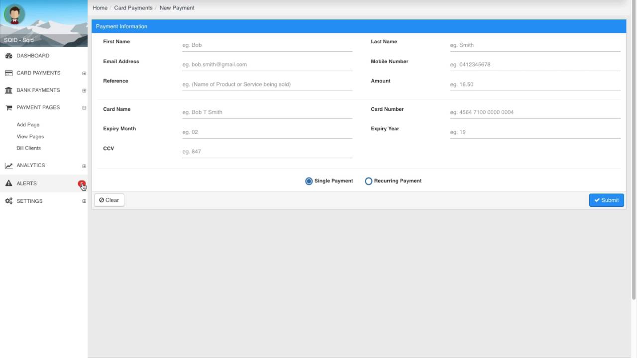 Payment Manager Overview