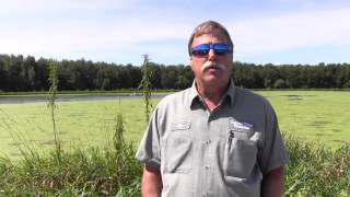 A Solar Solution in Swanton, Vt.