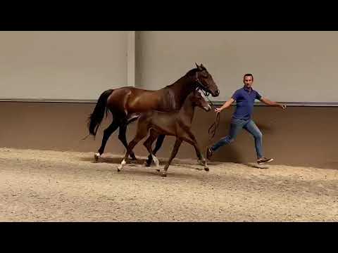 Myrto PS: Million Dollar x Clarimo